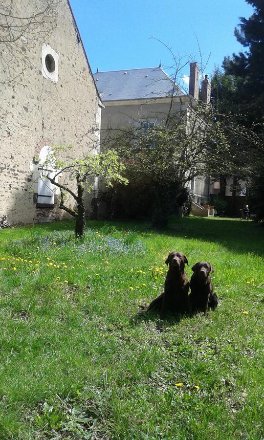 La Sauldre Vailly-sur-Sauldre Exterior foto