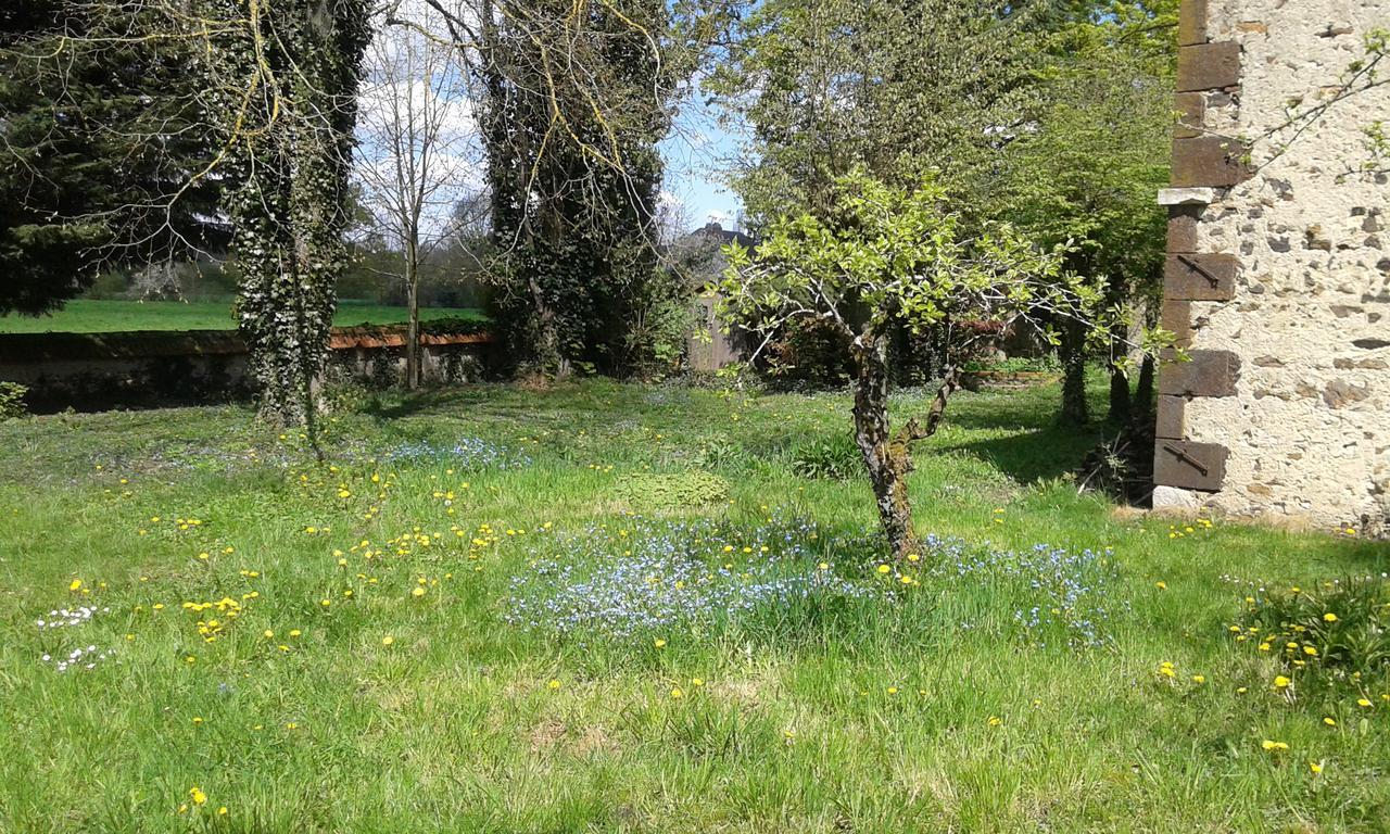 La Sauldre Vailly-sur-Sauldre Exterior foto